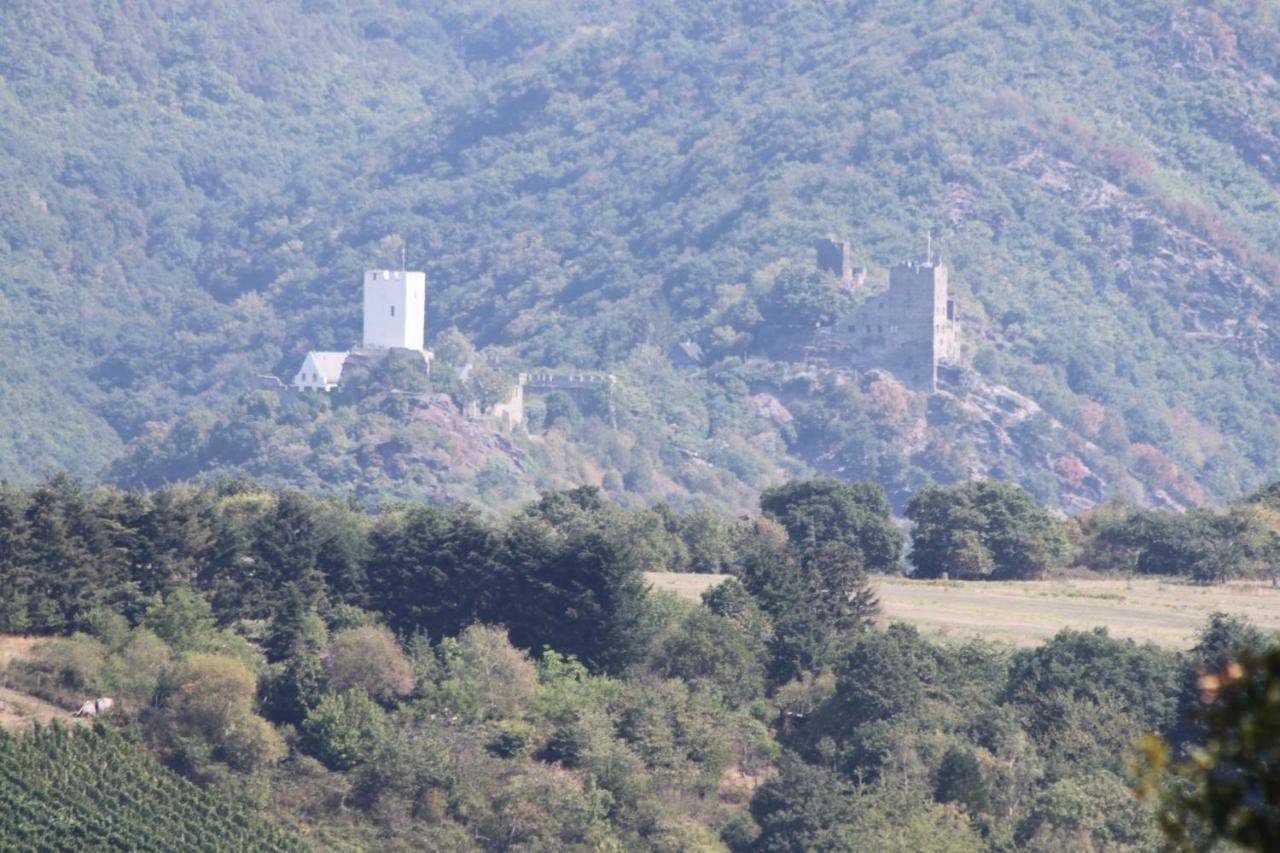 Ferienwohnungen Arnold Boppard Esterno foto